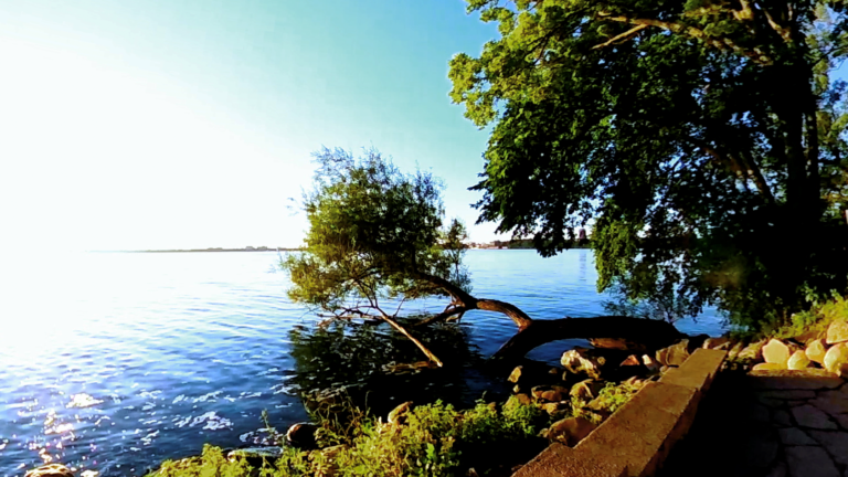 Lakeshore Nature Preserve