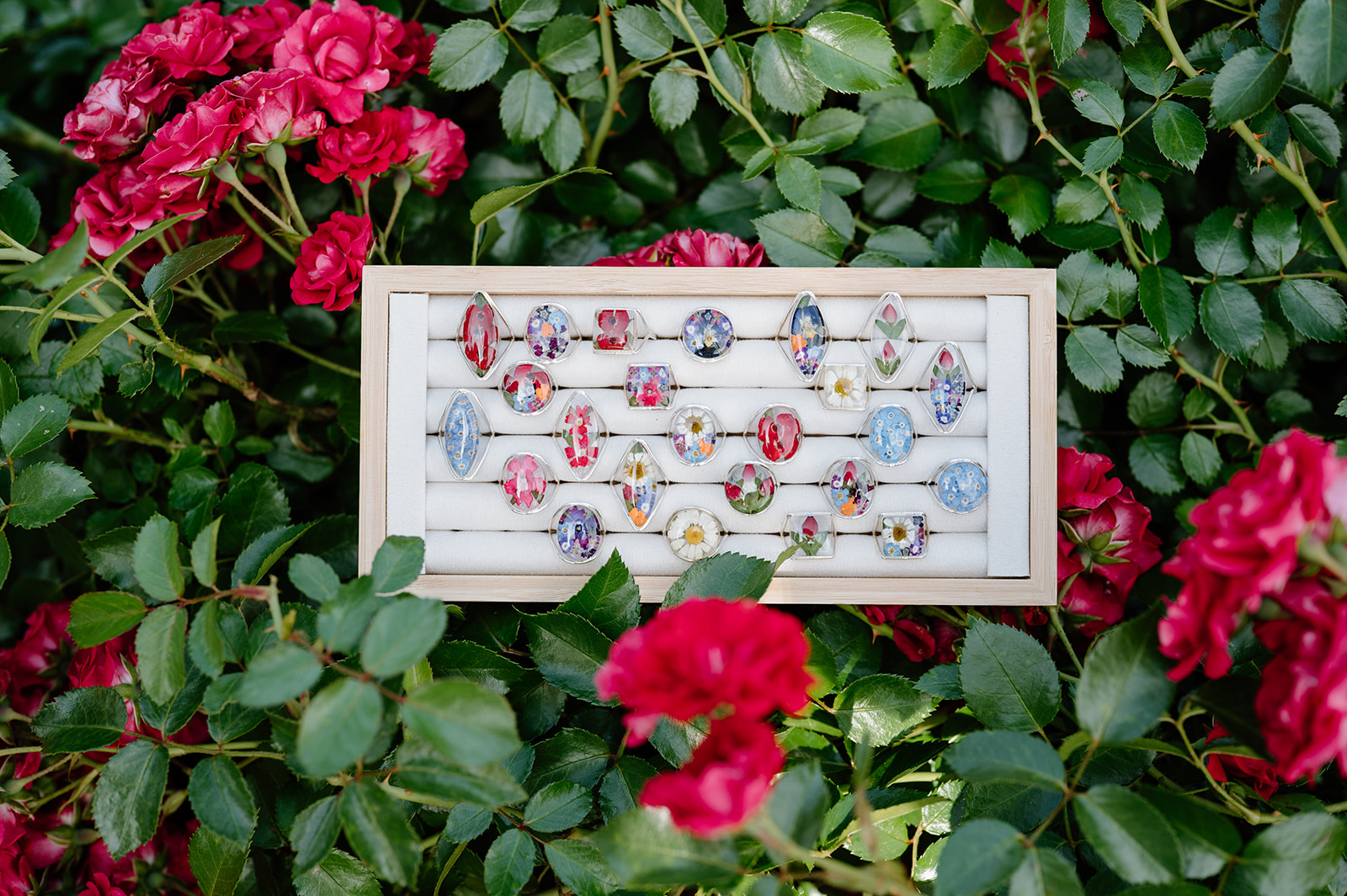 assortment of flower rings