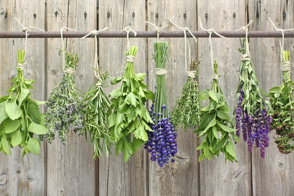 string of herbs