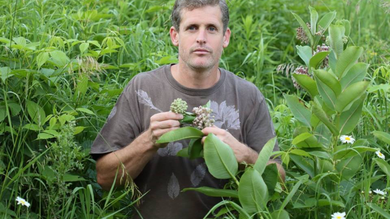 Image of Forager’s Harvest