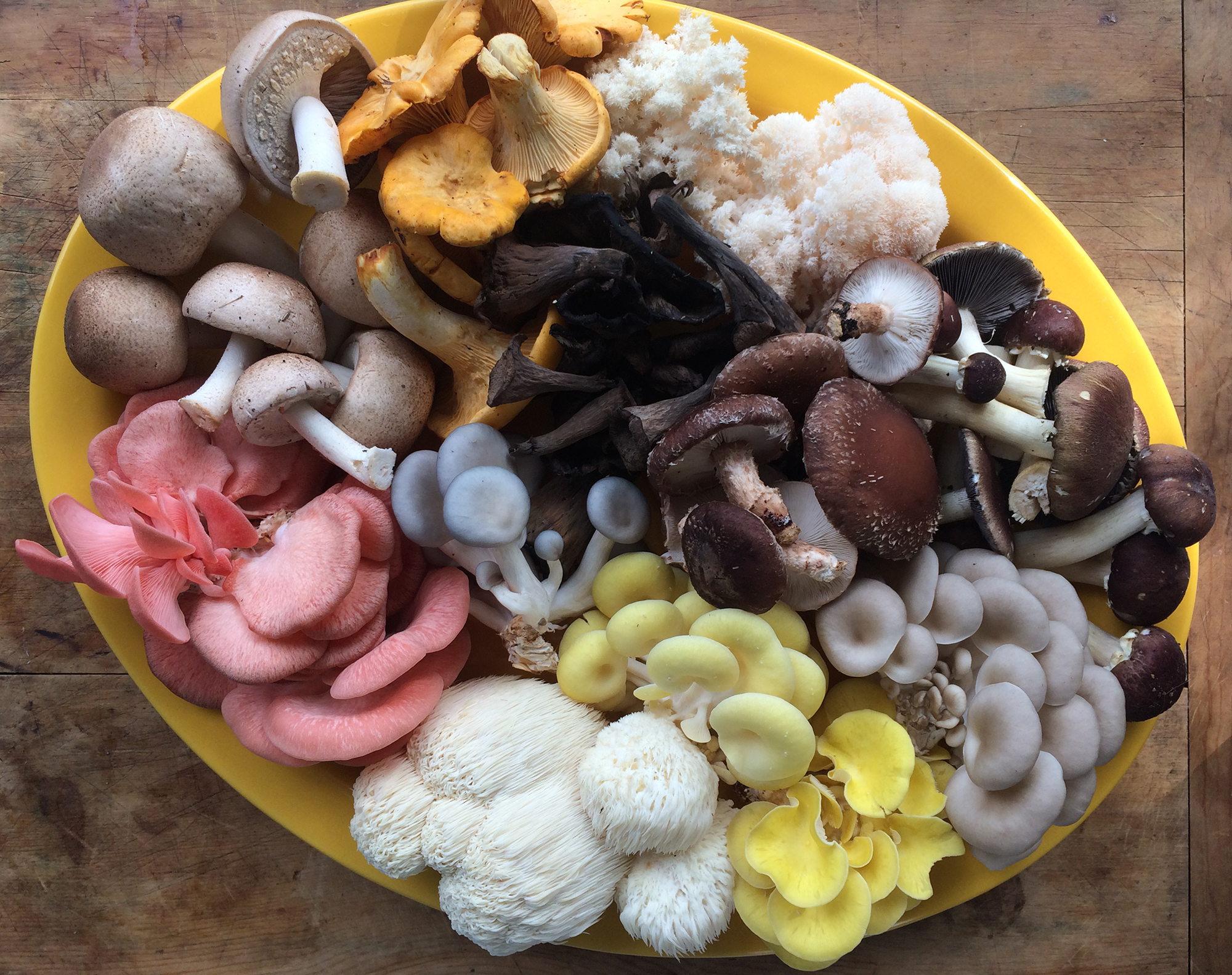 mushroom medley