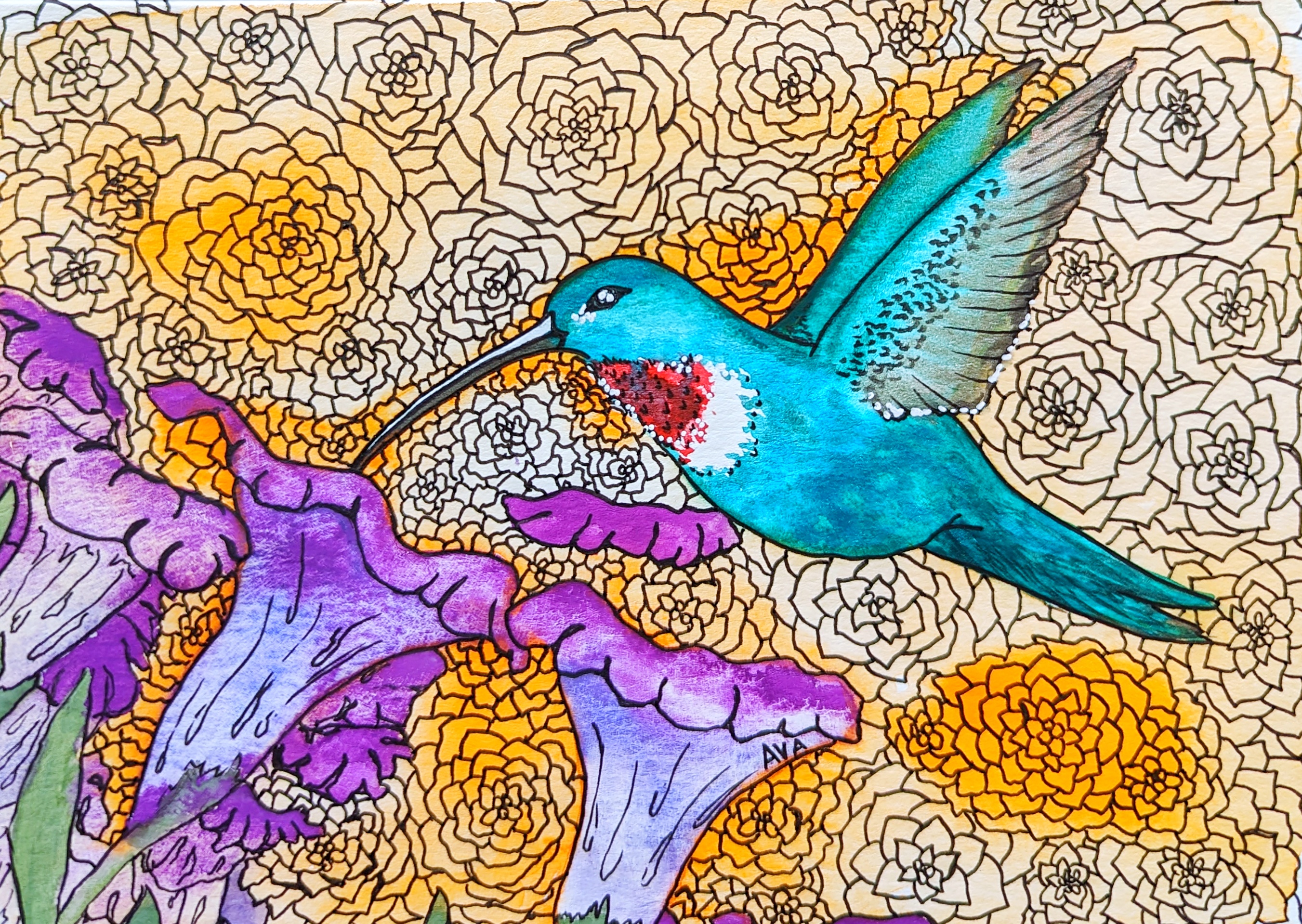 hummingbirds