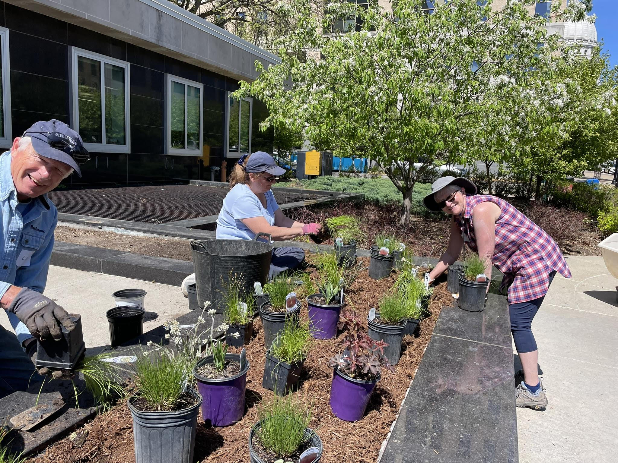 Madison Area MG Plant Sale 2025