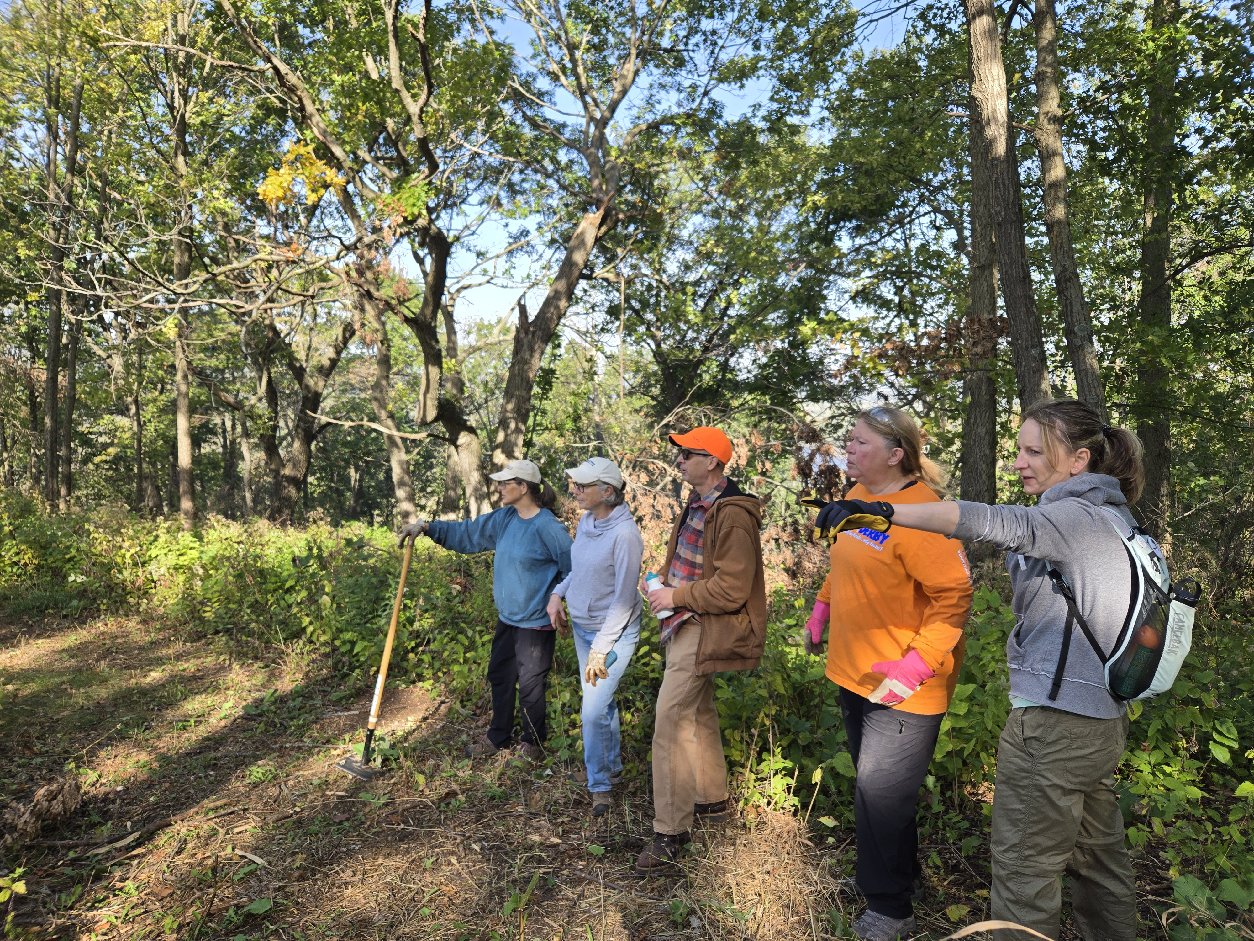 volunteers outdoors
