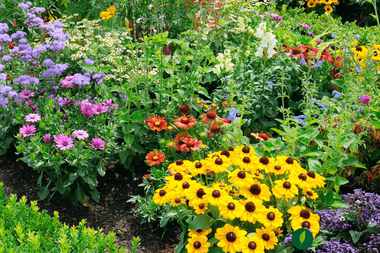 plant-selection-for-climate-change
