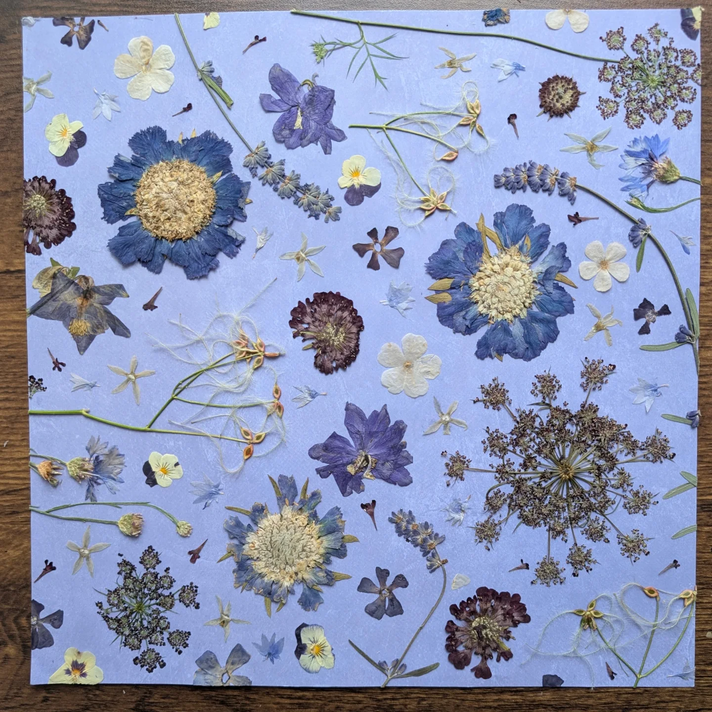 blue paper with dried flowers
