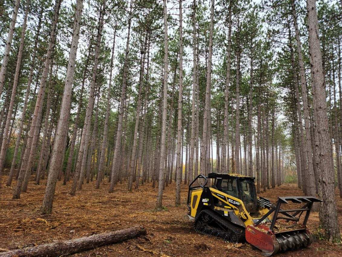woods with machine