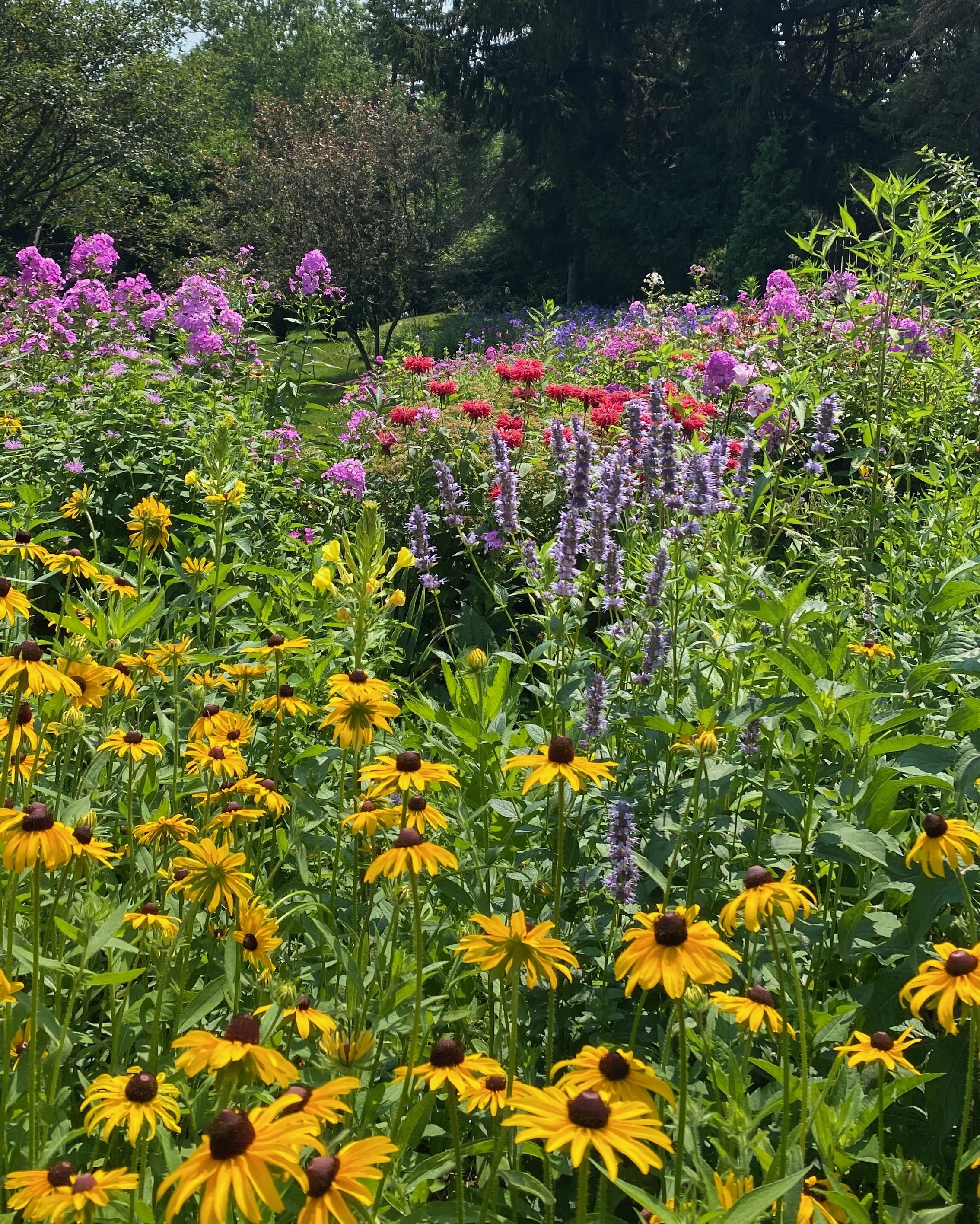Prairie Garden