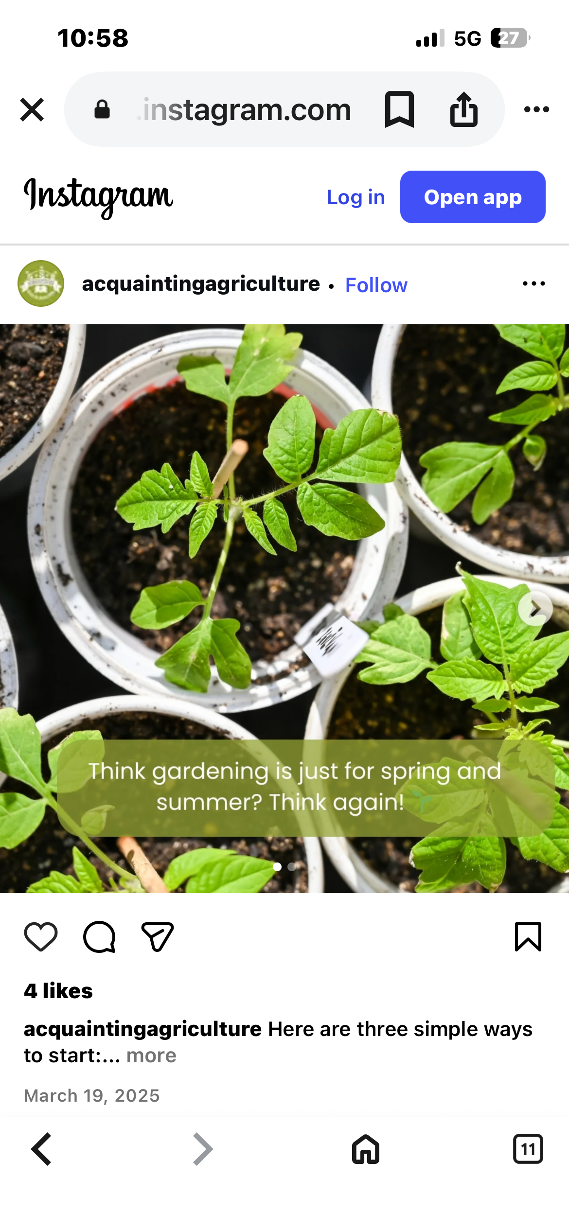 plants in soil